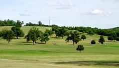 golf course long shot carts